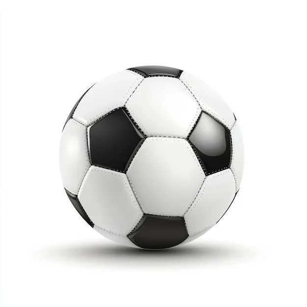 访问纬来体育官网入口首页